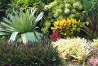 Seaforth NSWplanting-garden-and-landscape-design-24.jpg; ?>